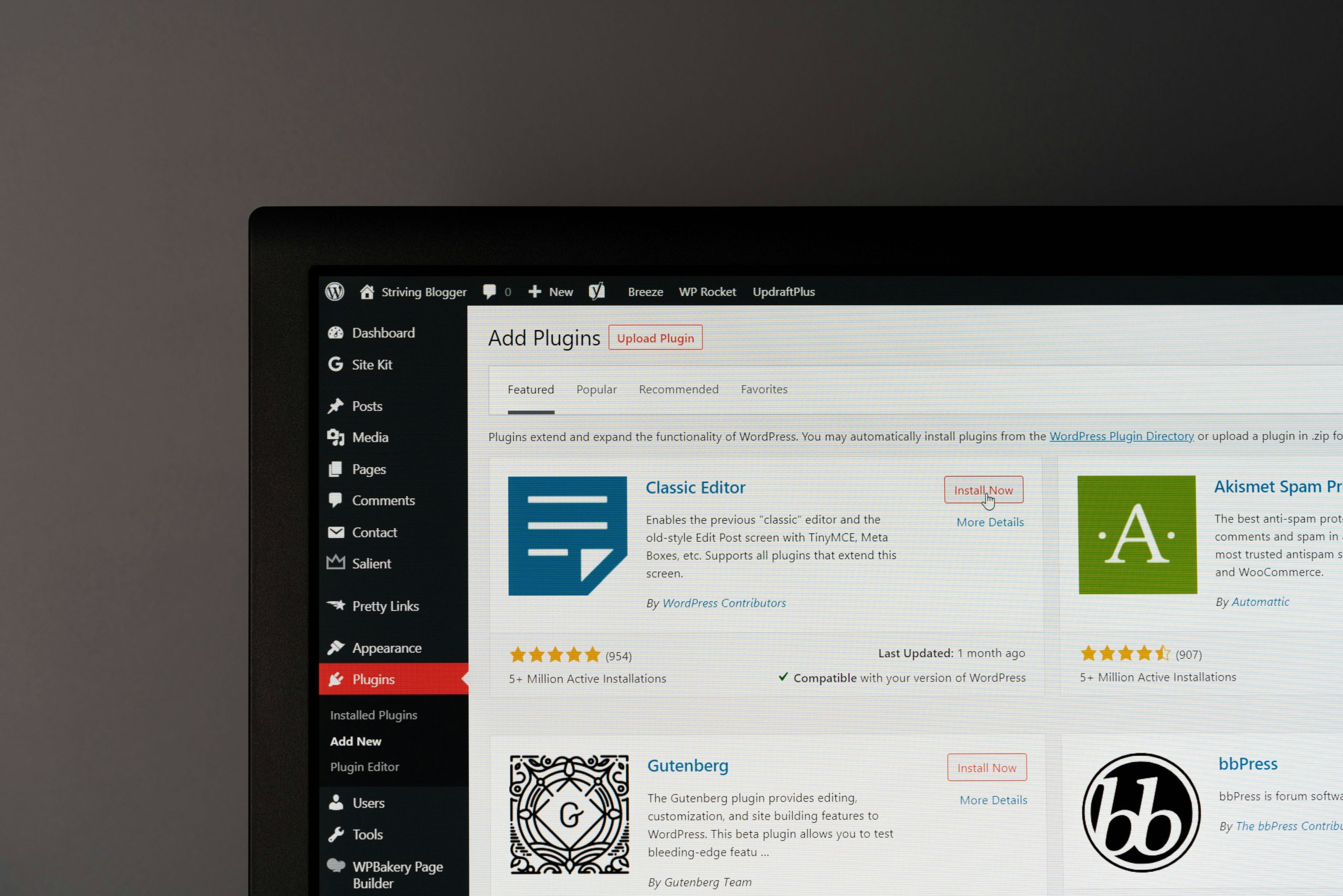 WordPress website management and development